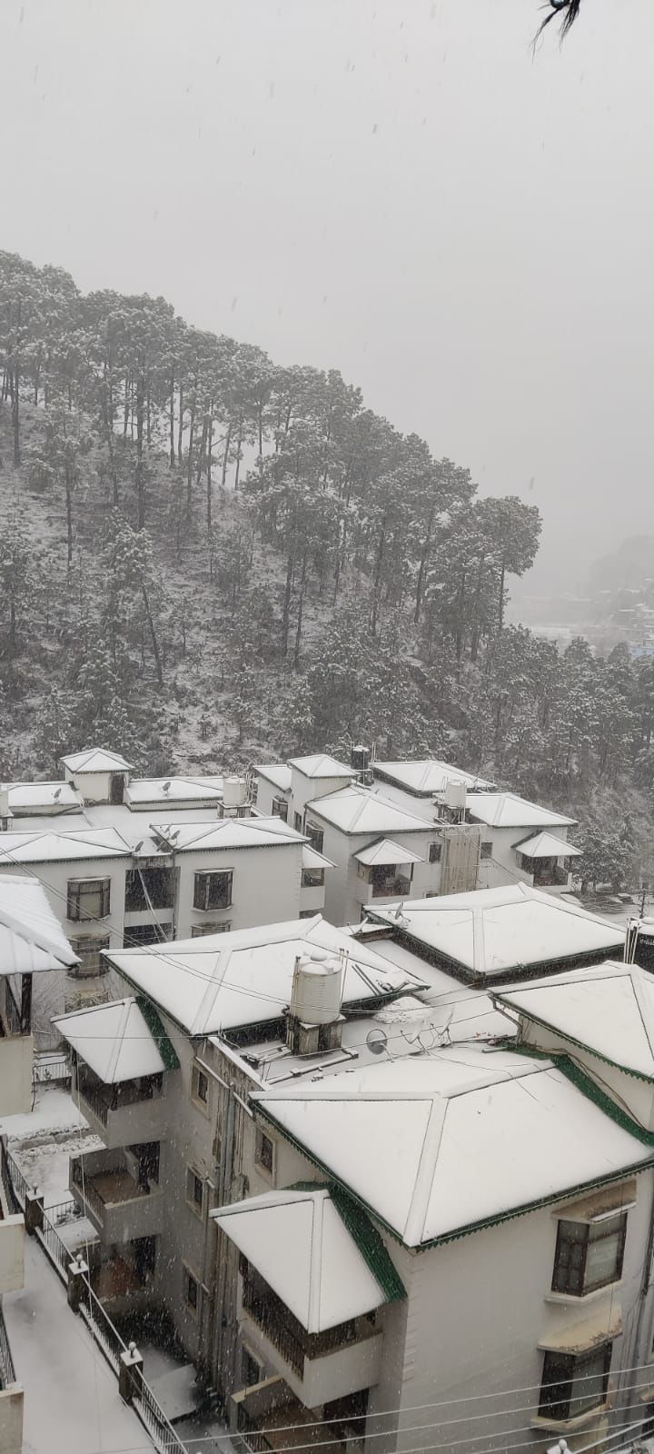 NainiTaal Lake View Apartment